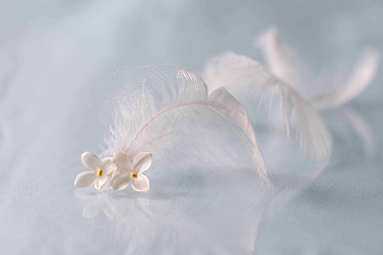 , Копцев Игорь