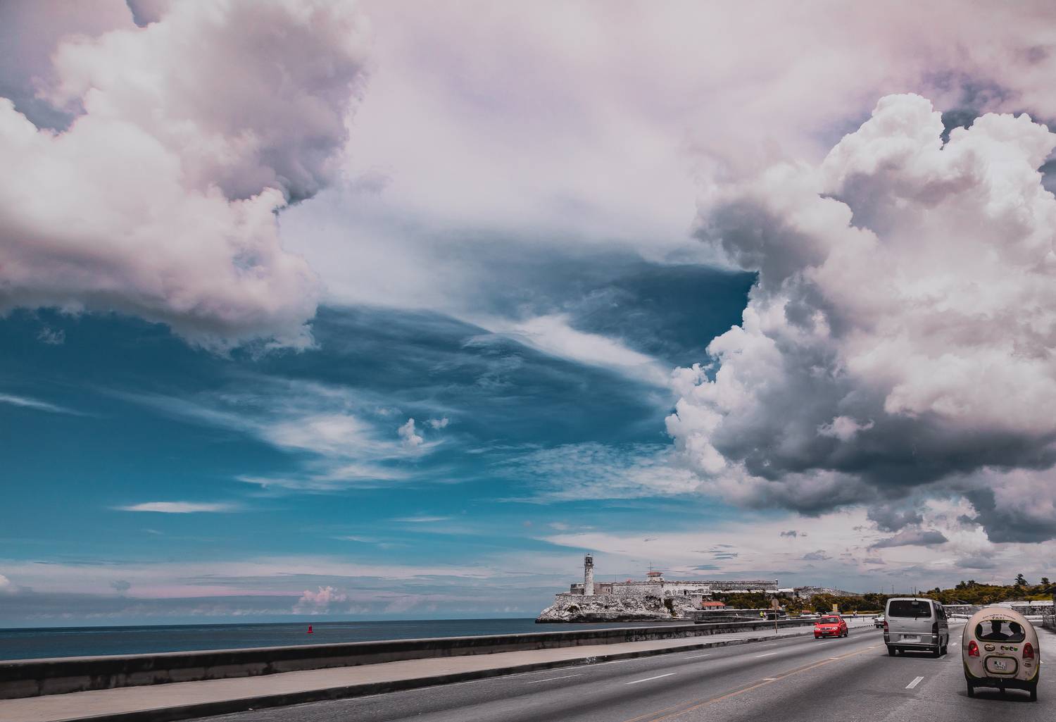 , Трепольский Дмитрий