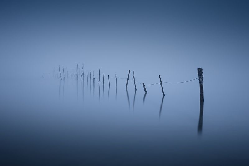 2024-09-25 фото превью