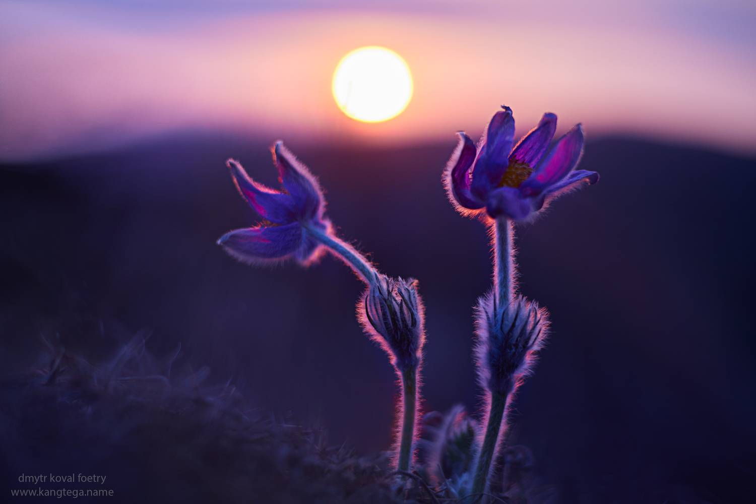 пейзажемагьё, пейзаж-как-виденье, Коваль Дмитр