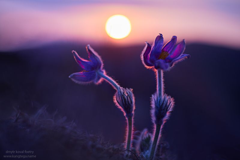 пейзажемагьё, пейзаж-как-виденье Земляне … фото превью