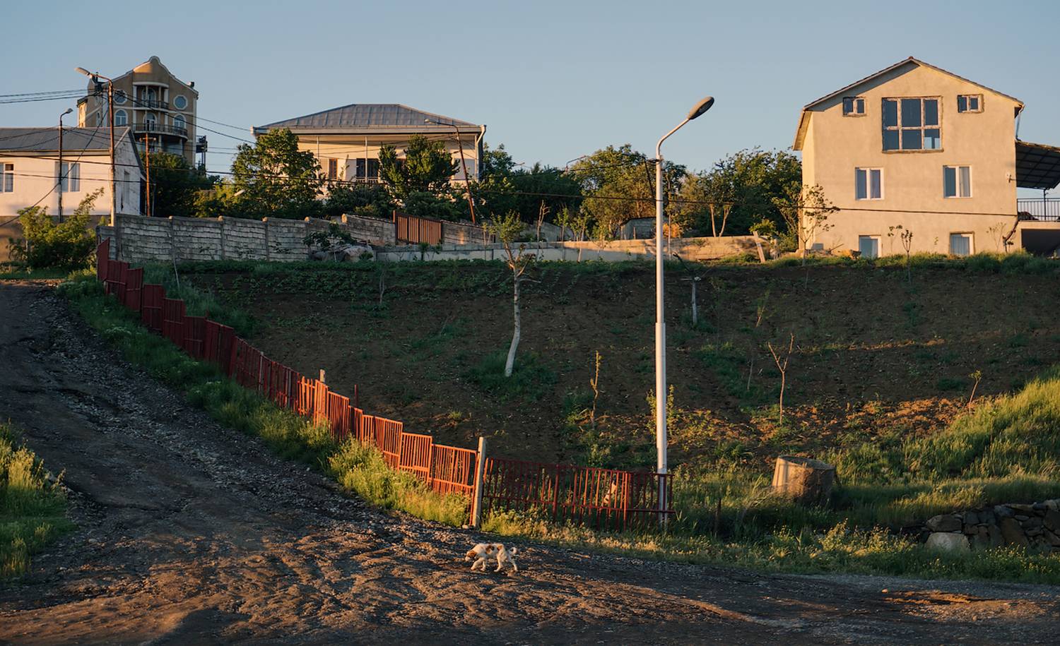 , Новикова Ольга