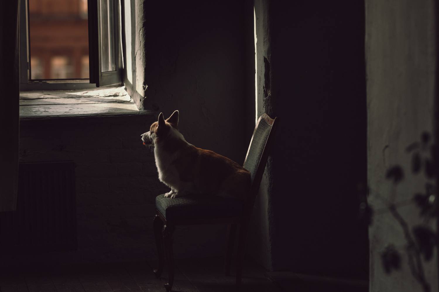 , Мороз Ирина