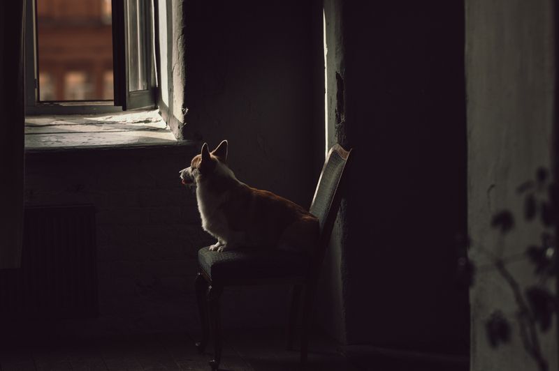 Ожидание фото превью