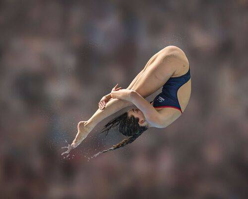 Harmonia in Flight