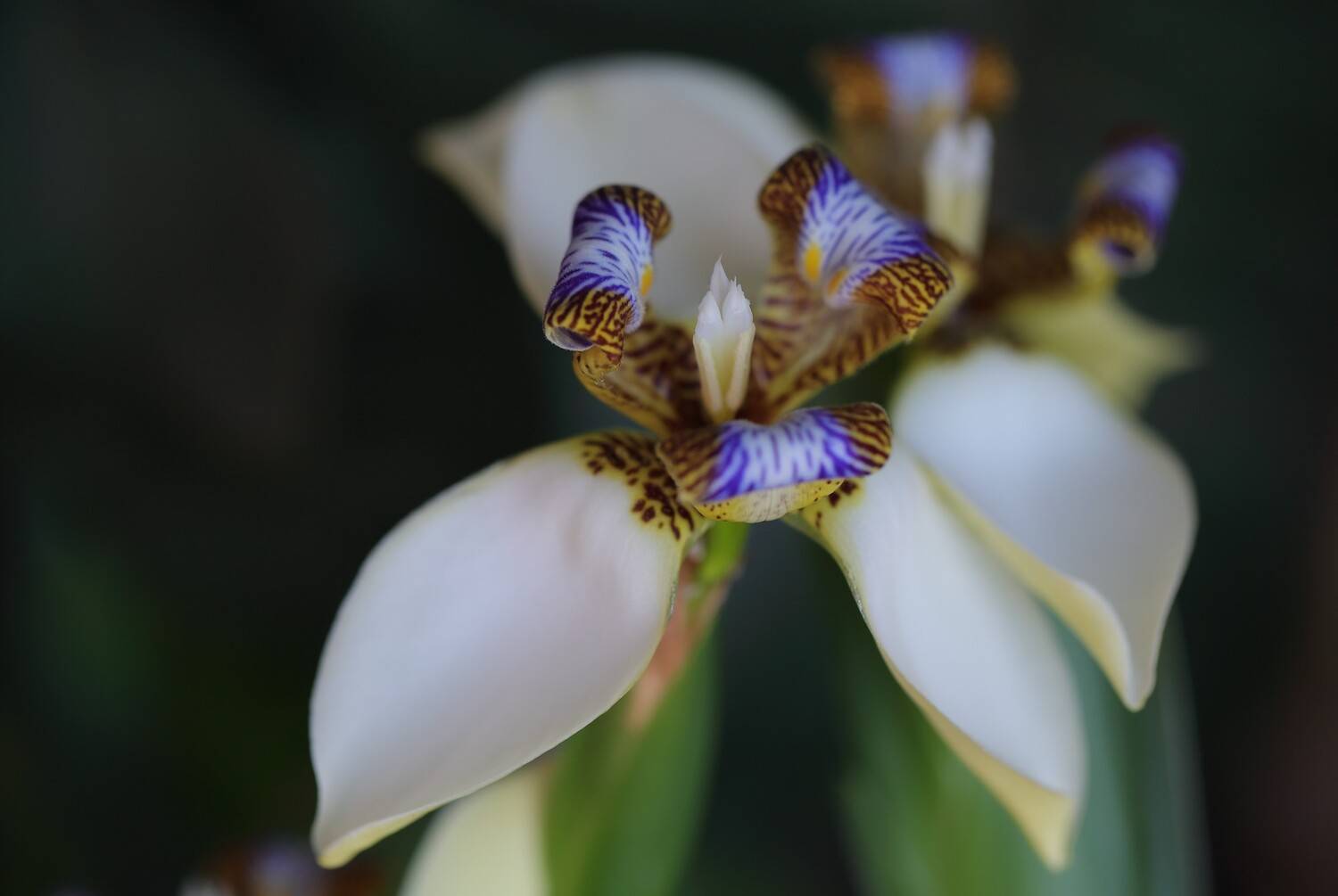 , Евгений Слободской