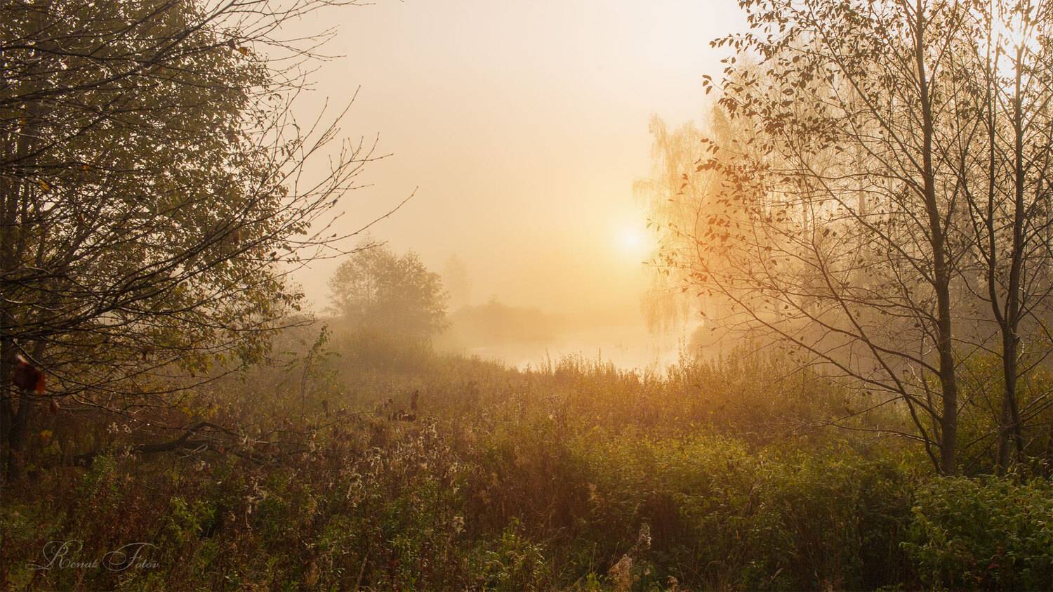 , Фотов Ренат