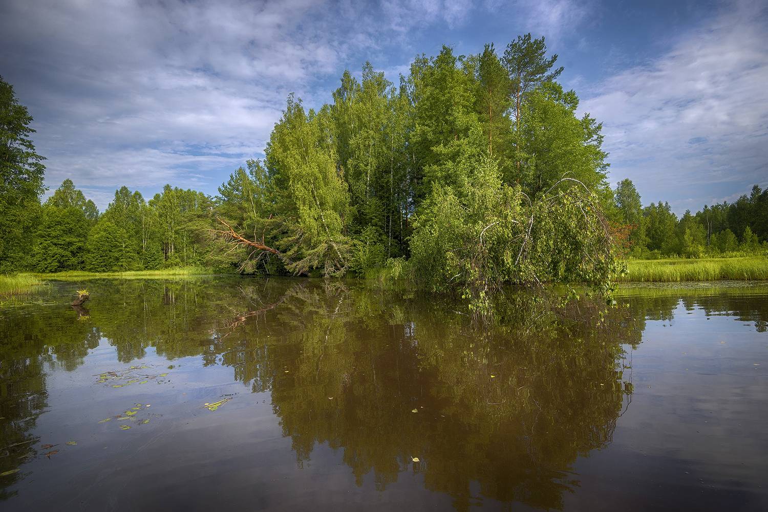 , Сергей Аникин