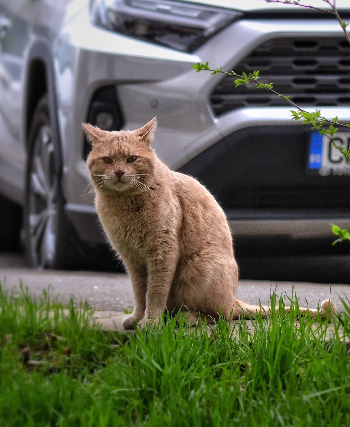 , Юлияна Стоянова