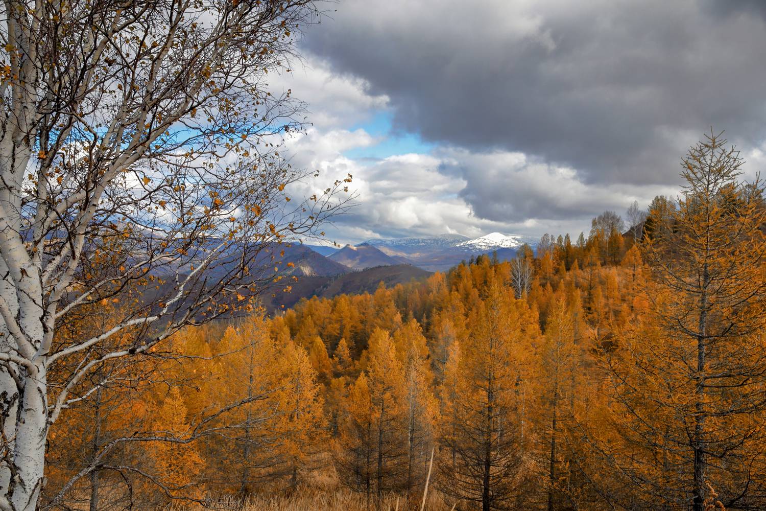 , Евгений Зинов