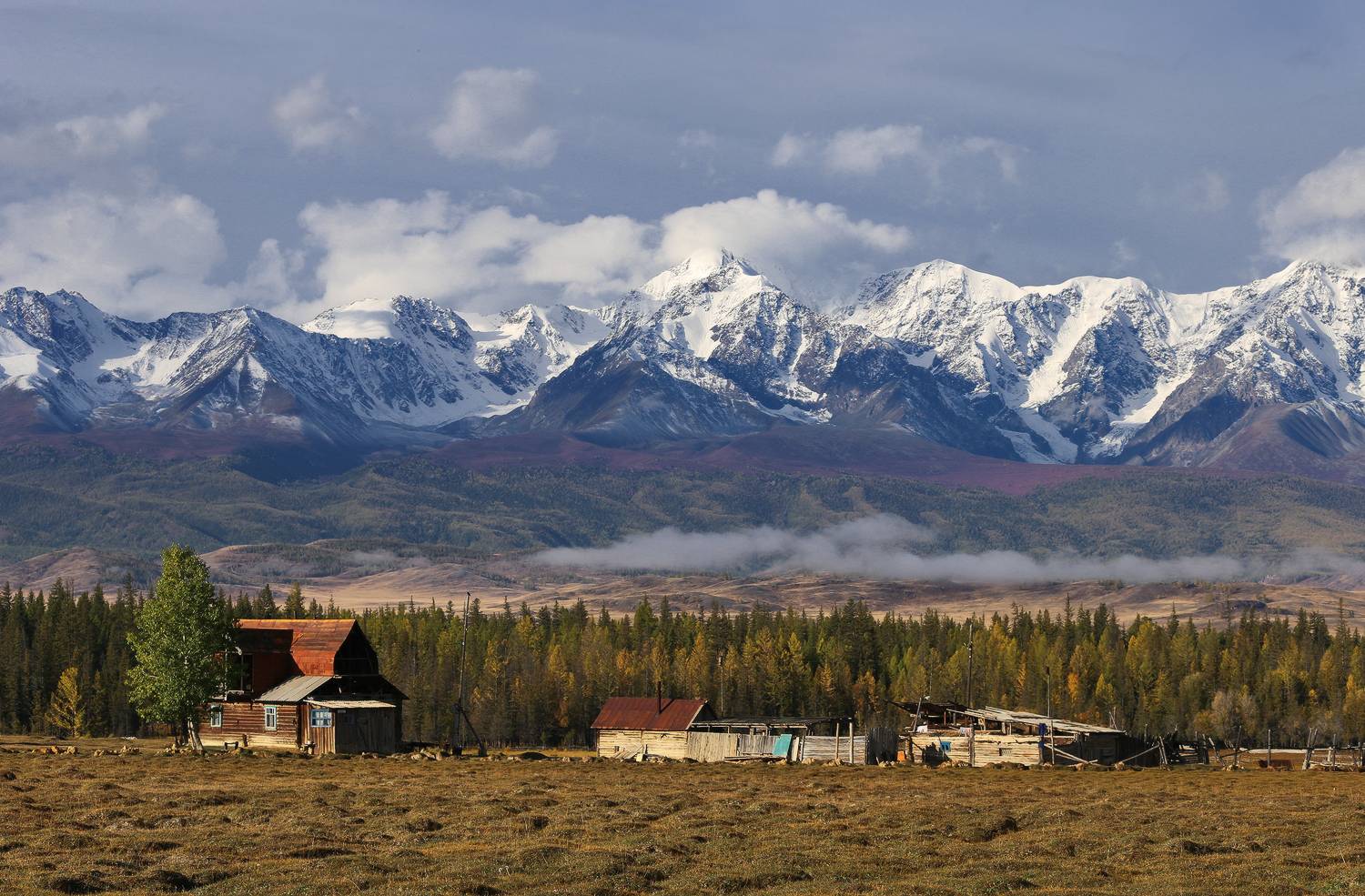 алтай, горный алтай, северо-чуйский хребет, курай, Галина Хвостенко