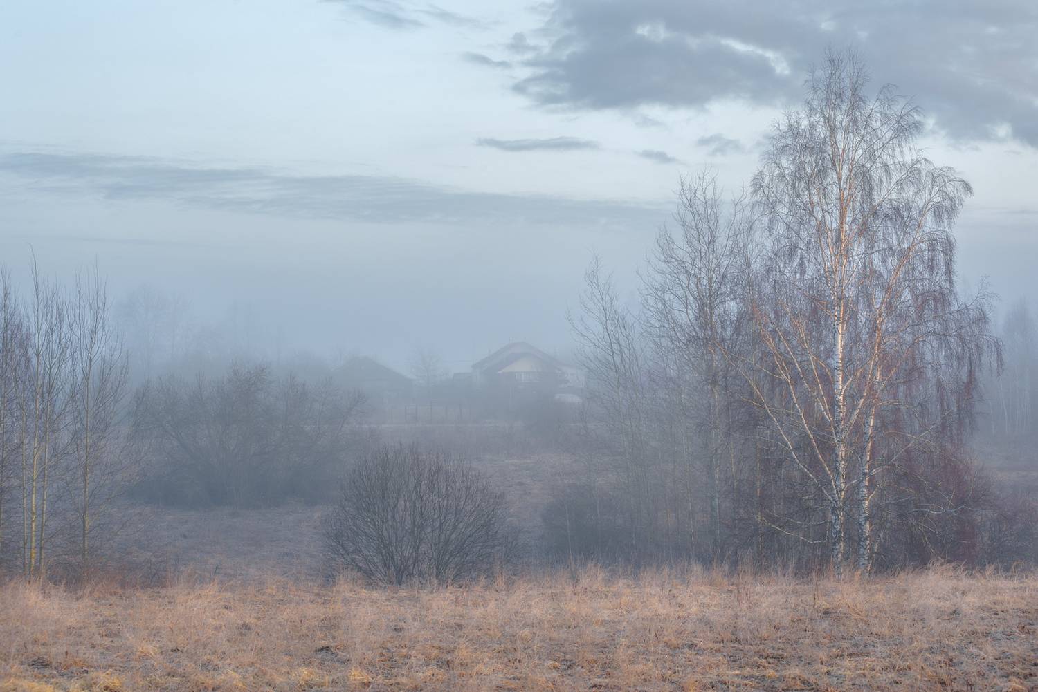 утро туман весна март бродники, Алексеев Дмитрий