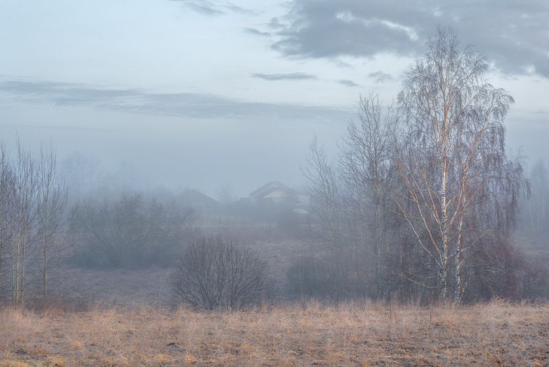 утро туман весна март бродники Акварельное утро фото превью