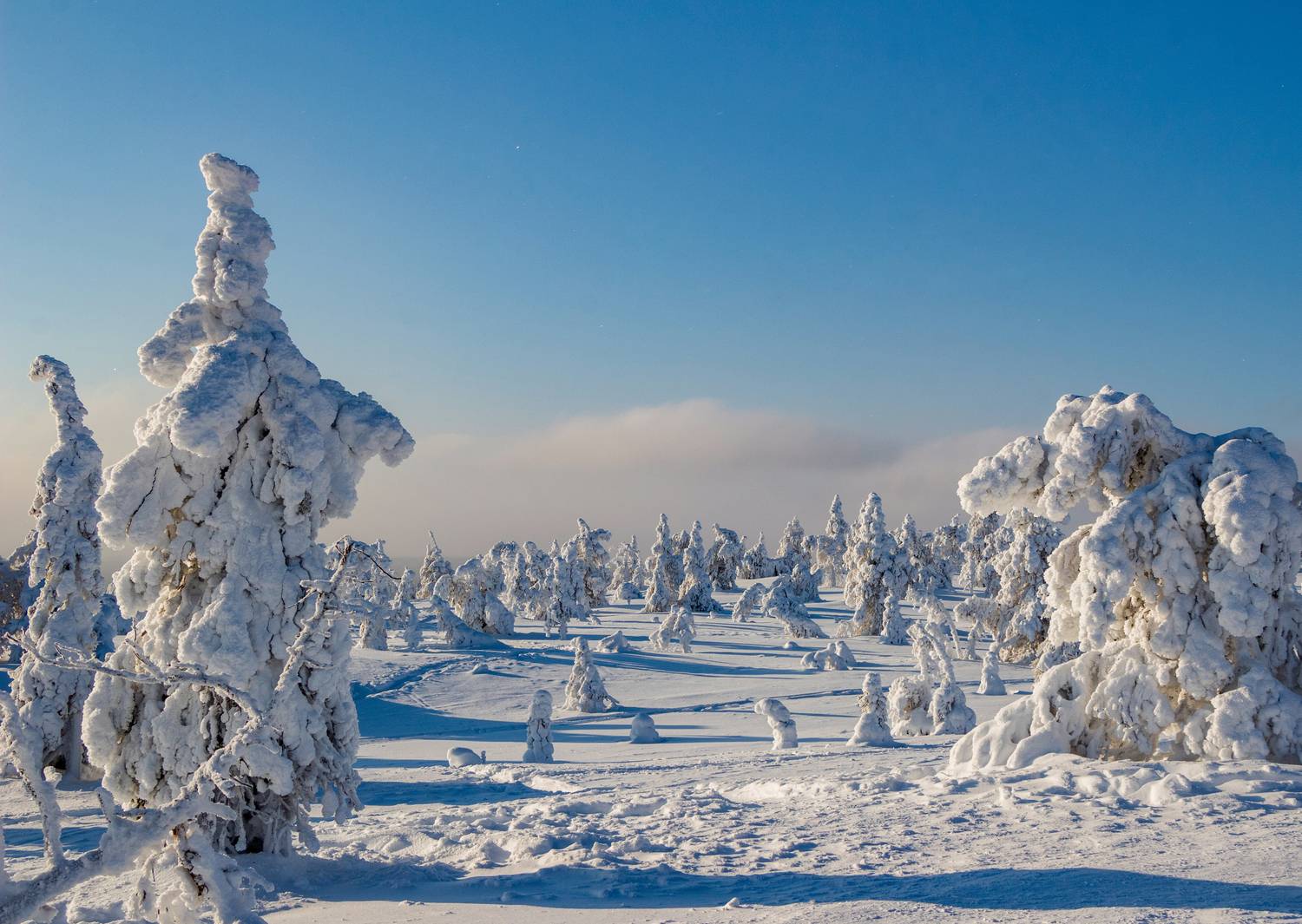 , Вадим Городницкий