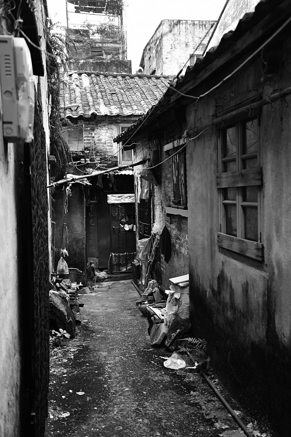 , Щеглова Марина