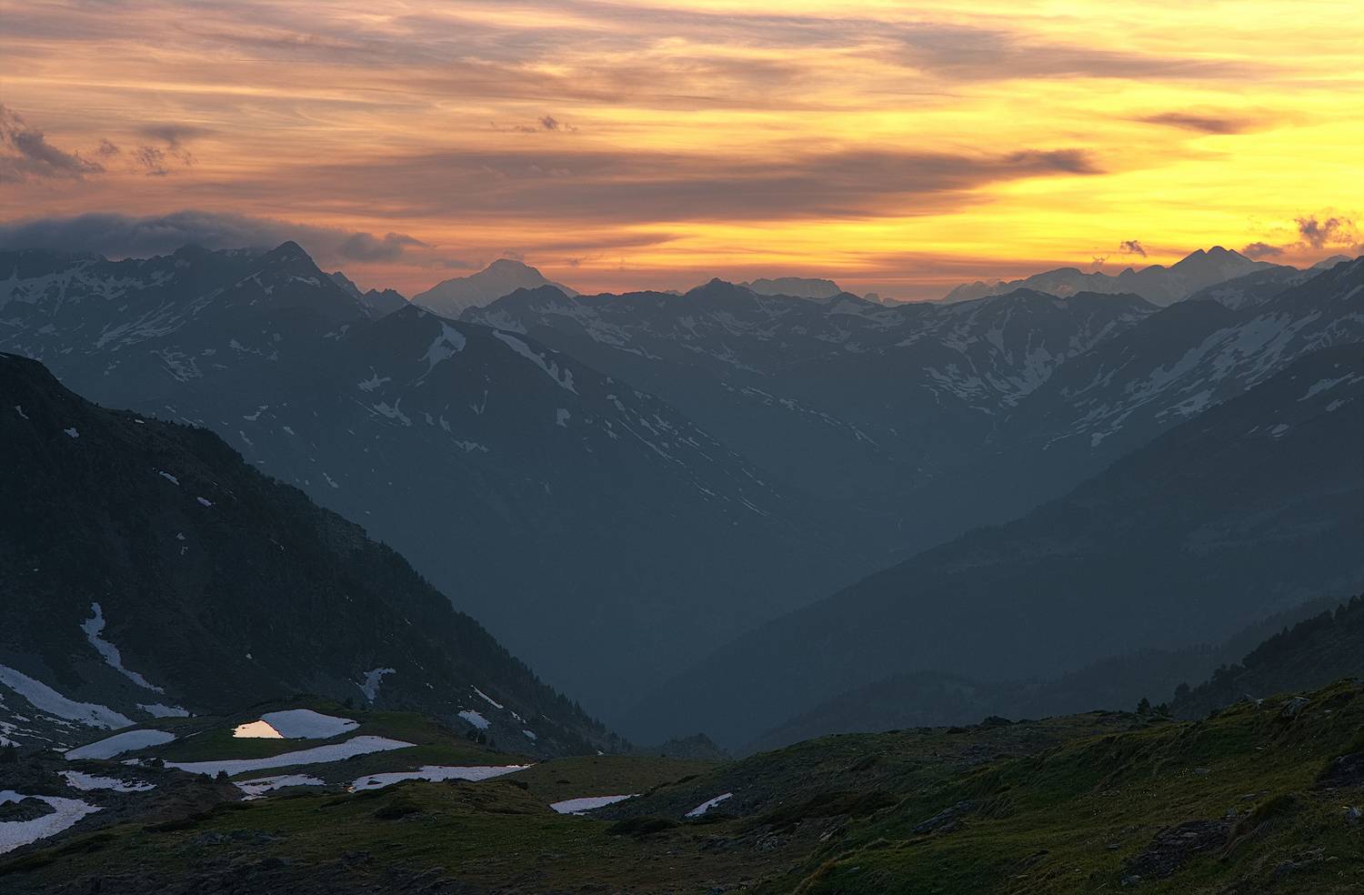 , Wojciech Tarnowski