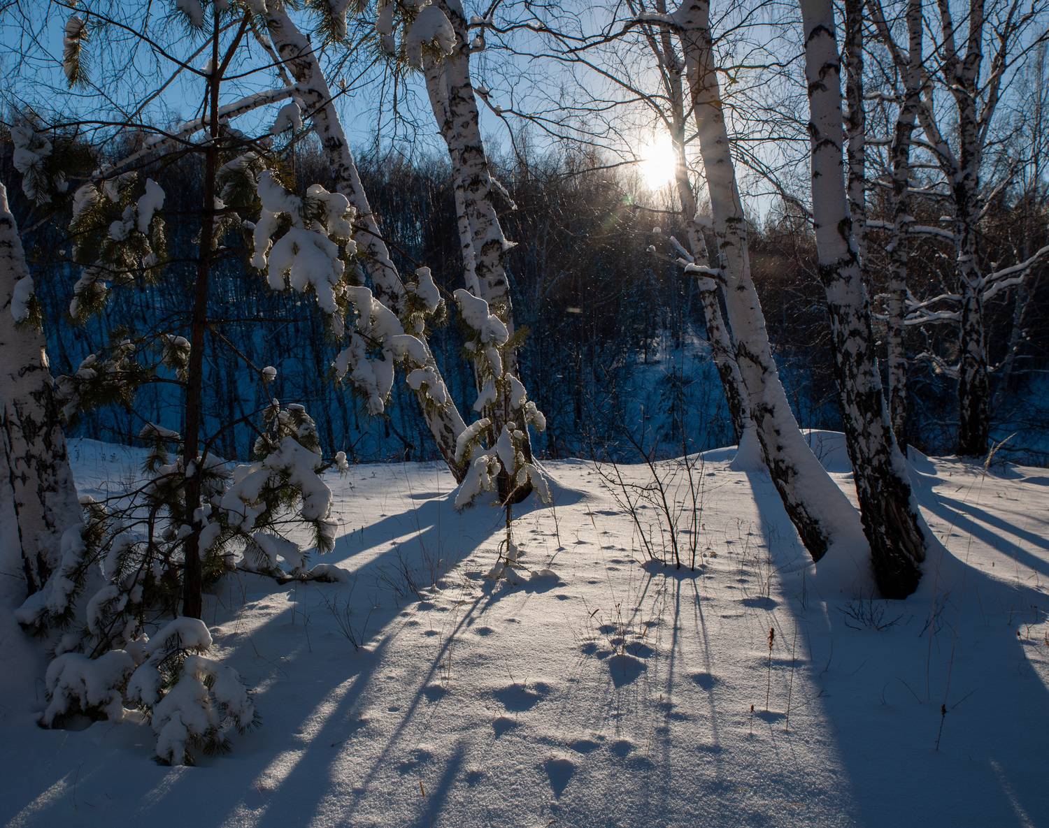 , Шустиков Дмитрий