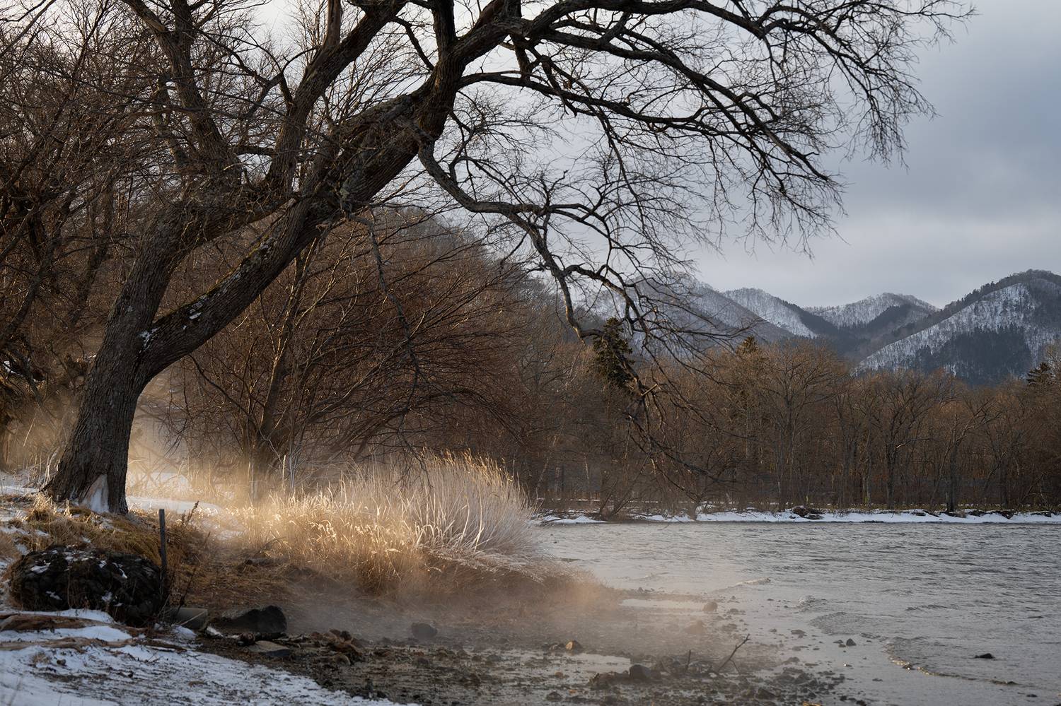 , Vladimir Vorobeychik