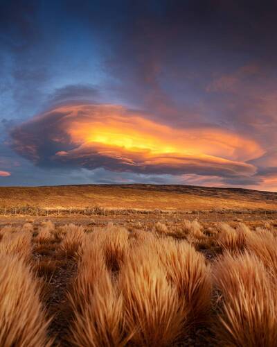 Закат в пампасах