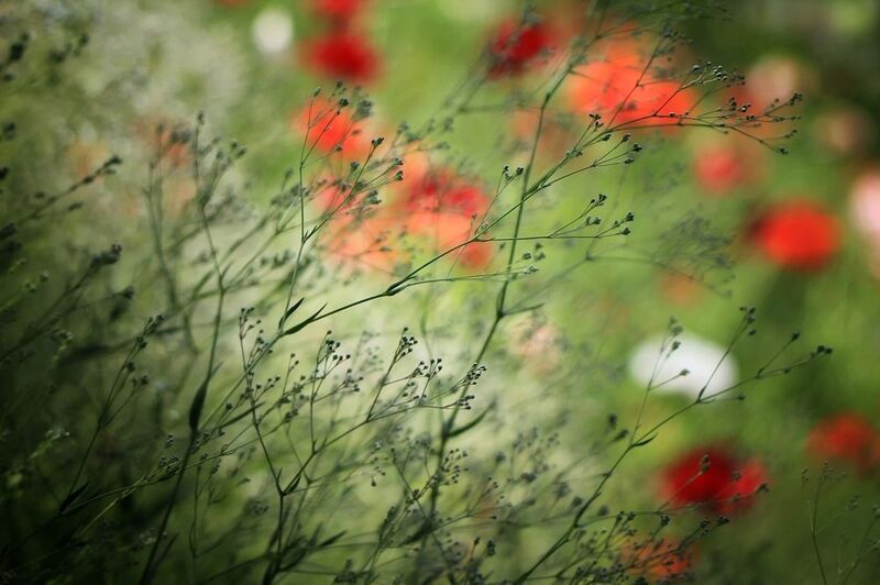 О хрупкости мироздания... фото превью