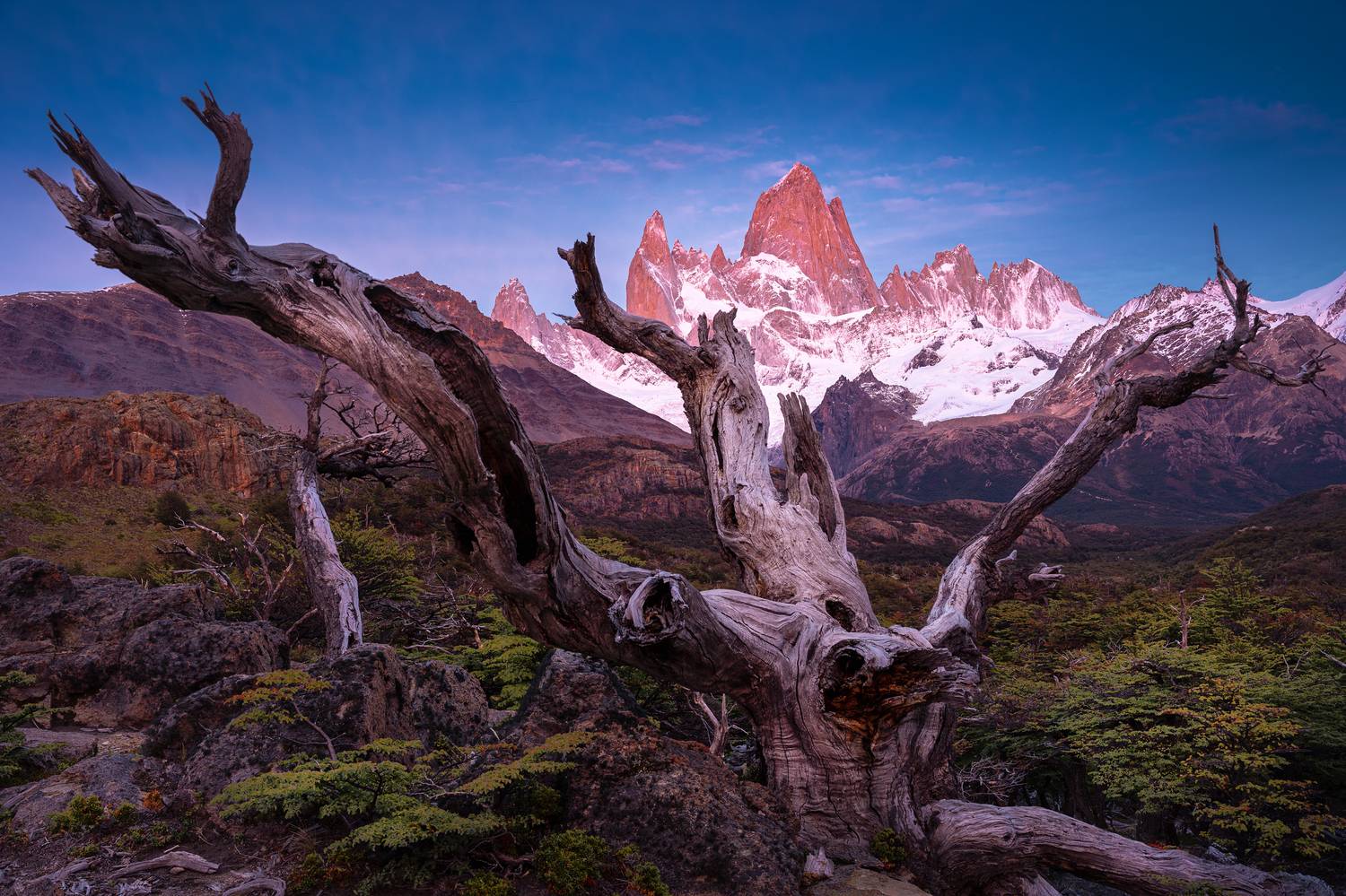 fitz roy, fitzroy, cerro torre, el chalten, chalten, patagonia, argentina, фицрой, серро-торре, эль-чалтен, аргентина, патагония, Уфимцев Юрий