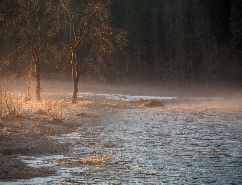 весна, утро, туман, морозе, река, север, ленинградская область, природа Утро на реке фото превью