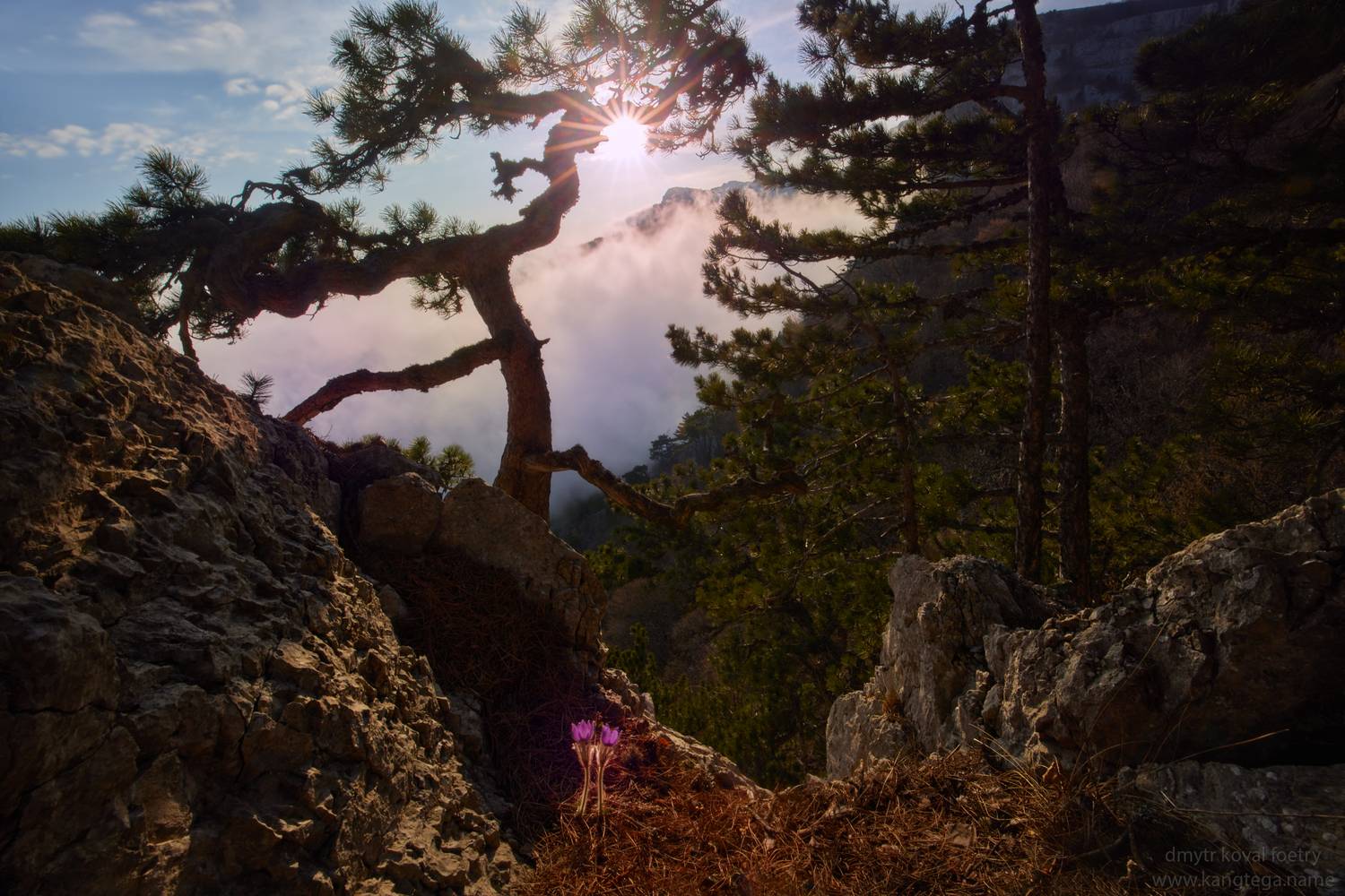 пейзажемагьё, пейзаж-как-виденье, Коваль Дмитр