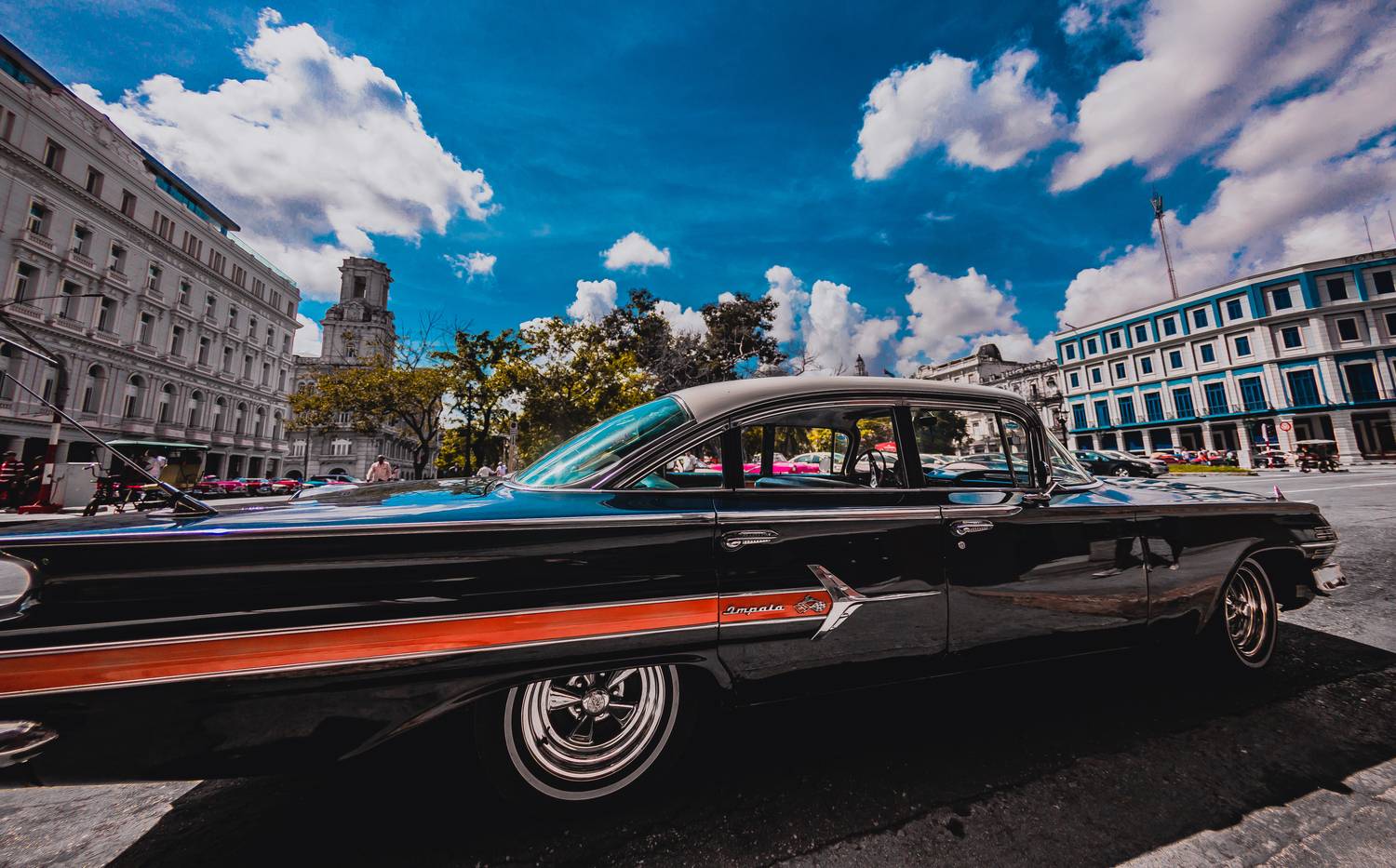 , Трепольский Дмитрий