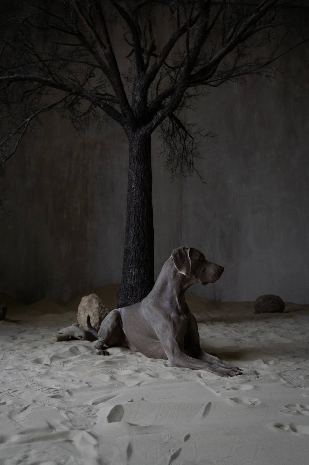 , Мария Гречаная