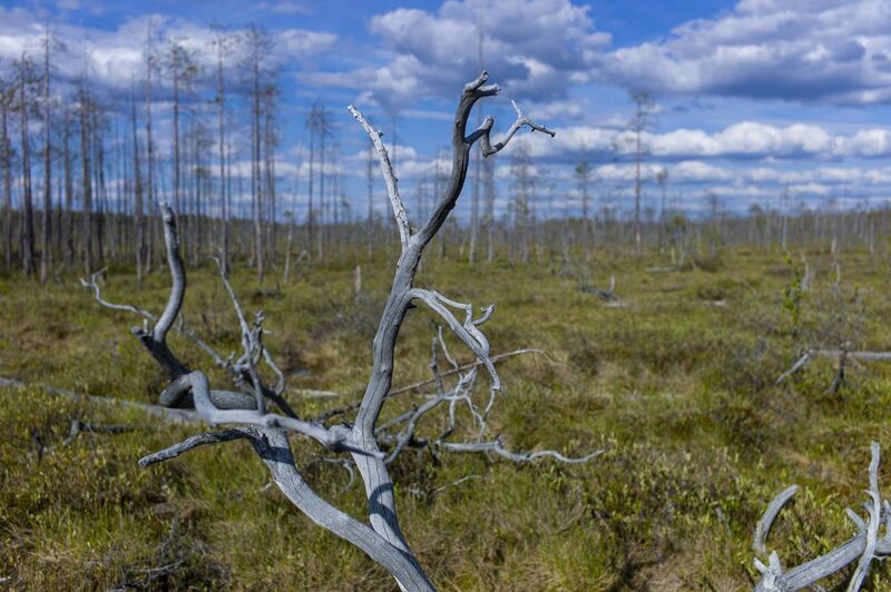 \\\\ фото превью