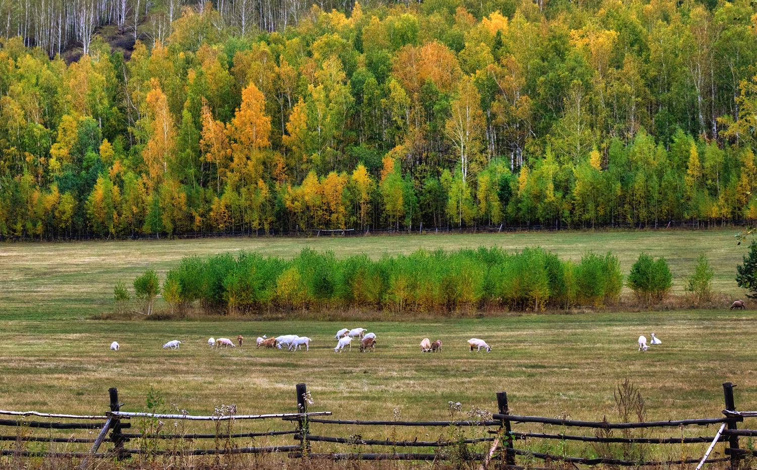 , Ушаков Валерий