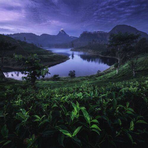 Adam's Peak, Sri Lanka