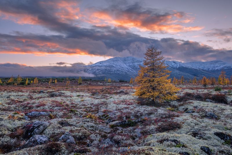 озеро, джека, лондона Всем кто ложиться спать... фото превью