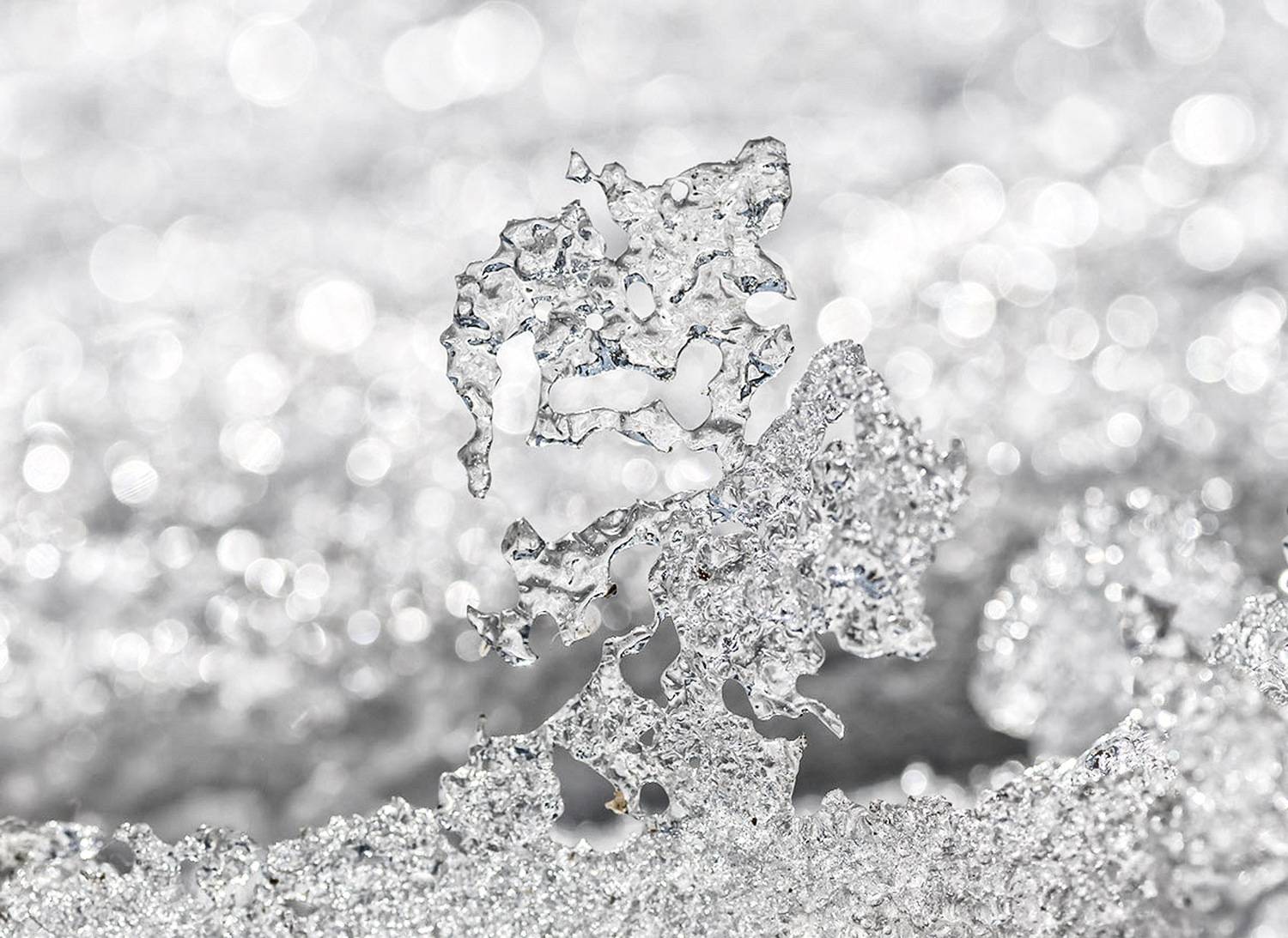 , Наиля Гарифуллина