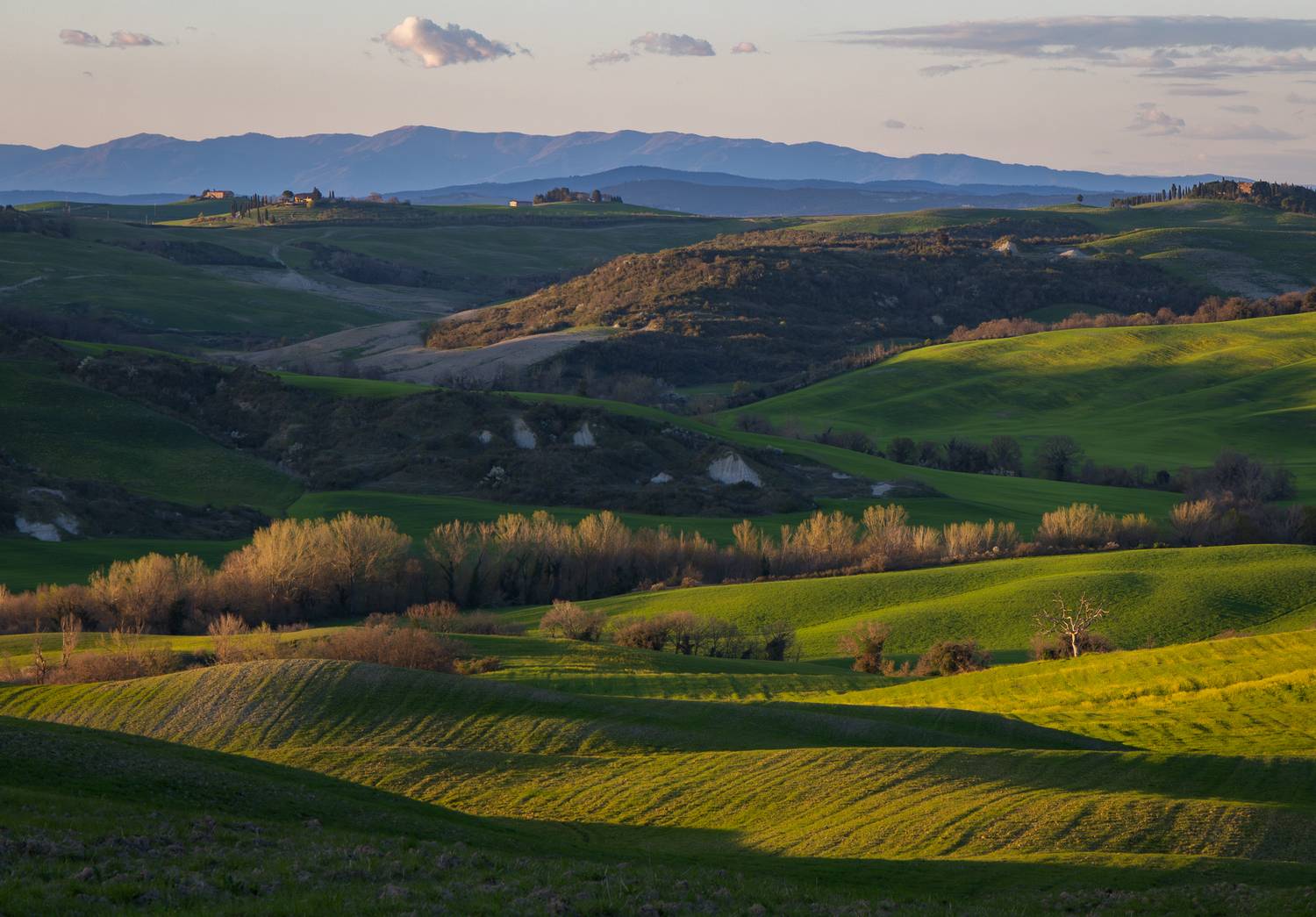 , Алекс Римский