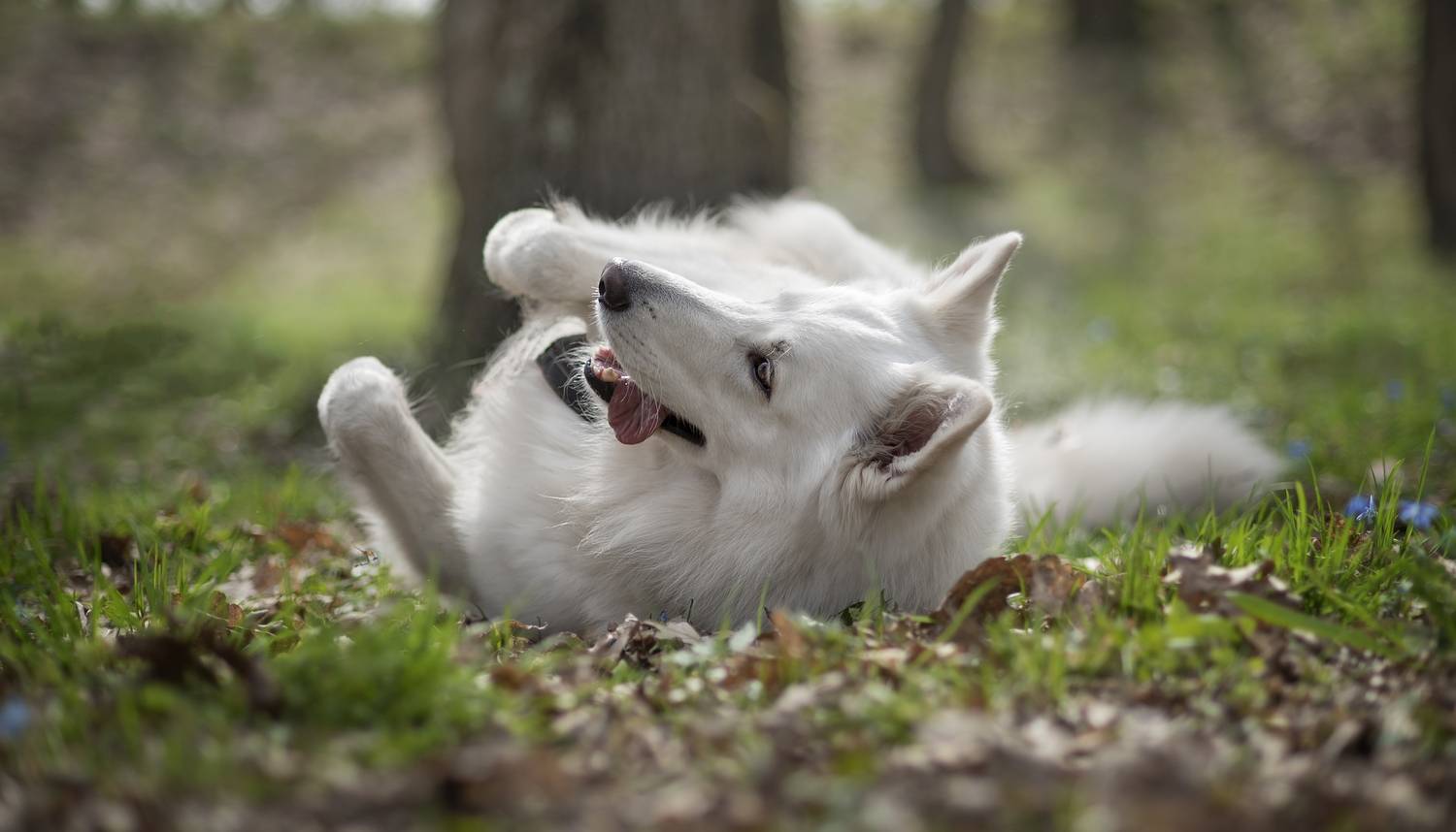 , Яна Кудлай