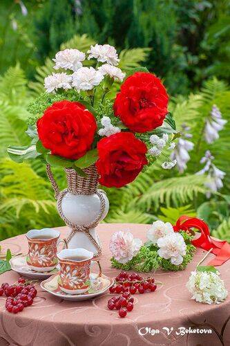 Розы и красная смородина