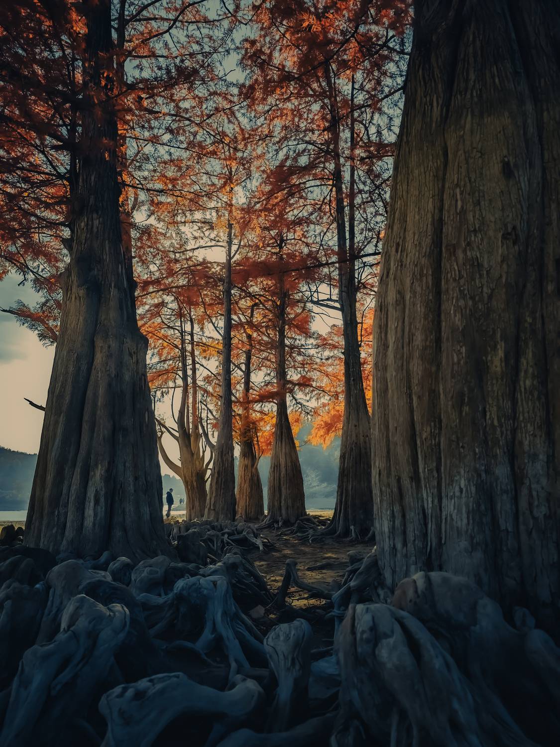 , Елена Литовская