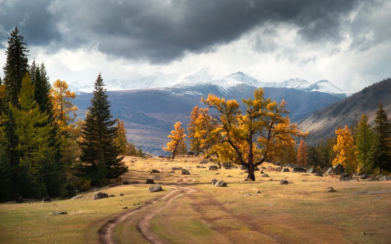 К заснеженным вершинам фото превью