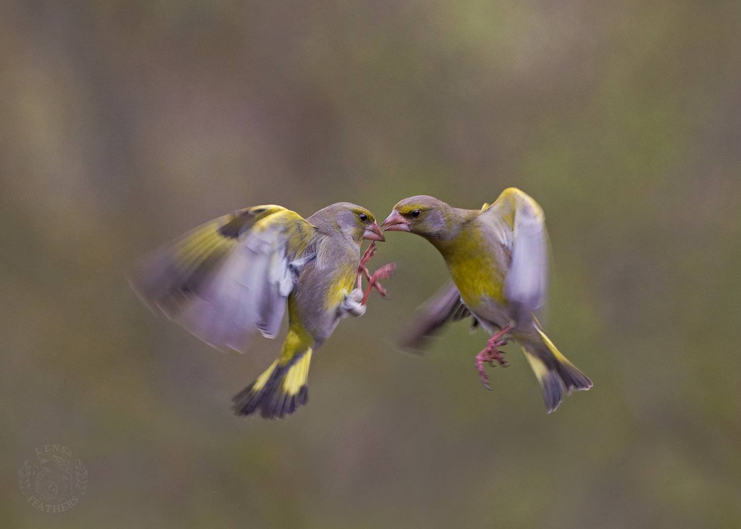 , Евгени Стефанов