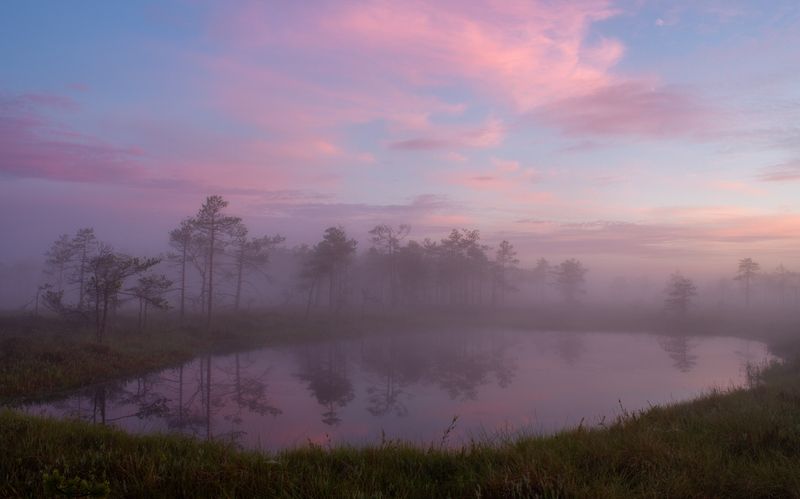 Нежность фото превью