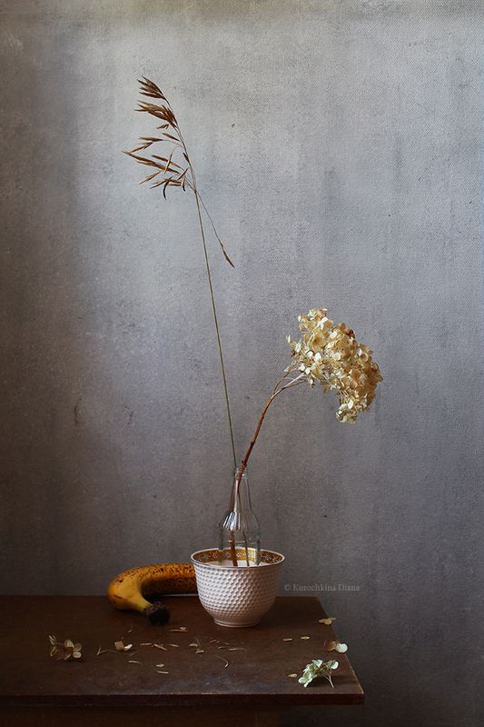 натюрморт, сухостой  фото превью