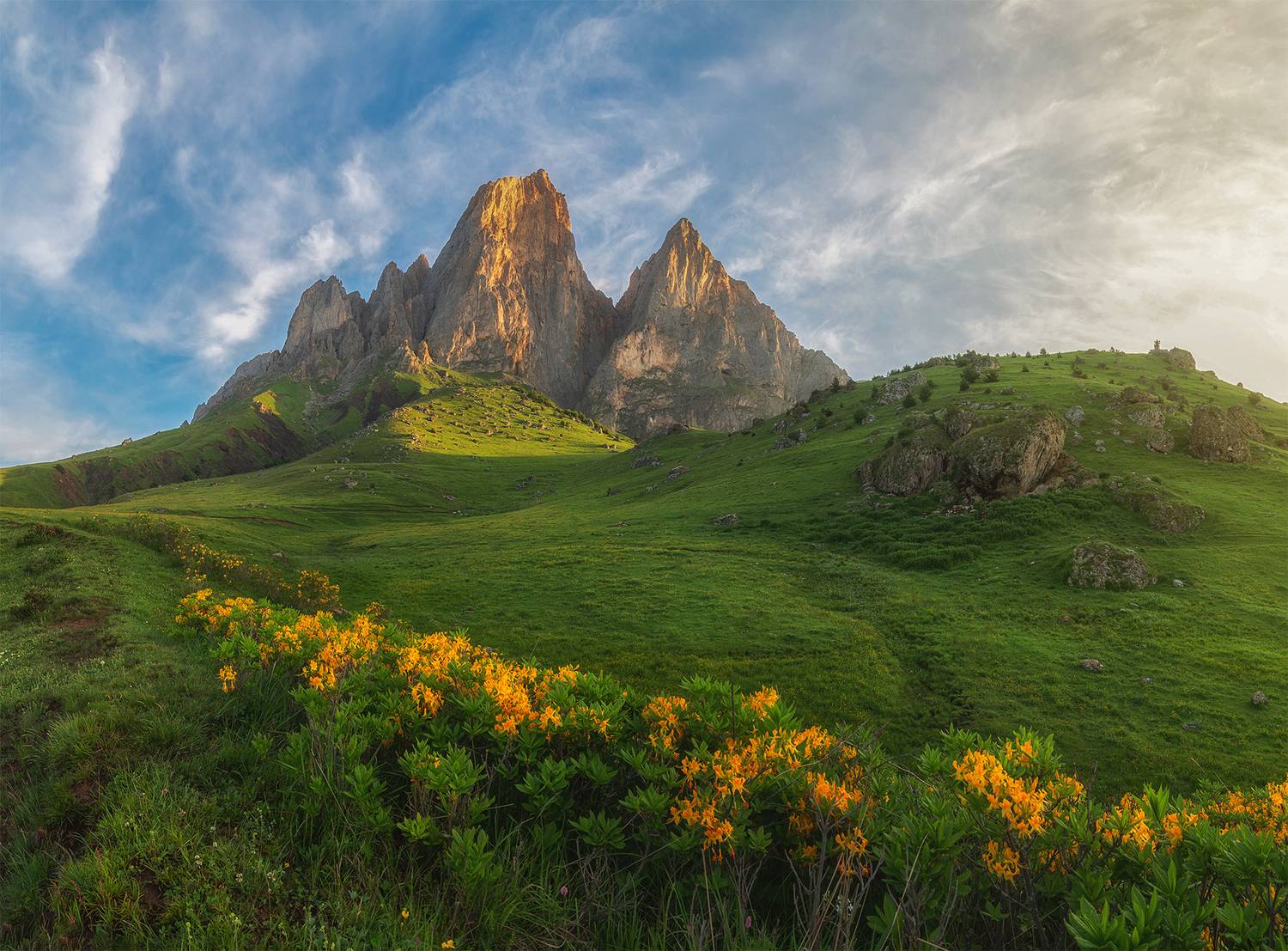 , Колобов Николай