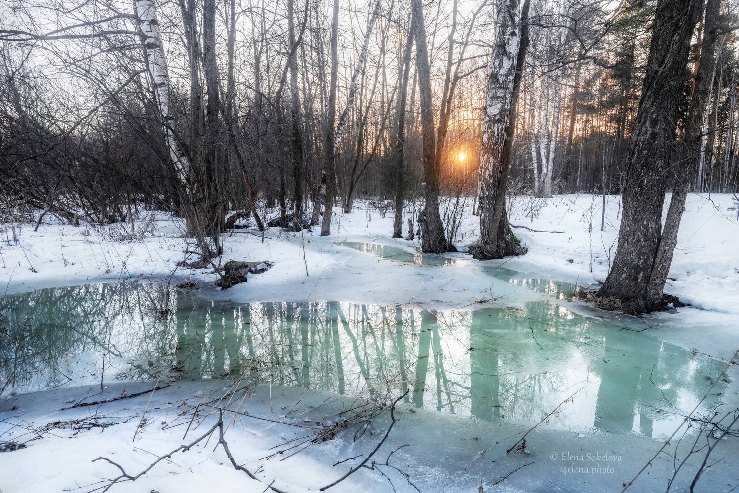 , Соколова Елена