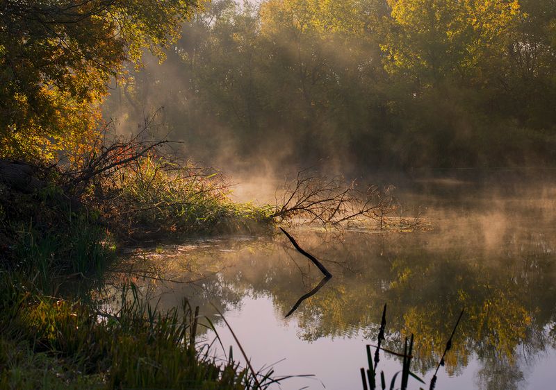 Айдар фото превью
