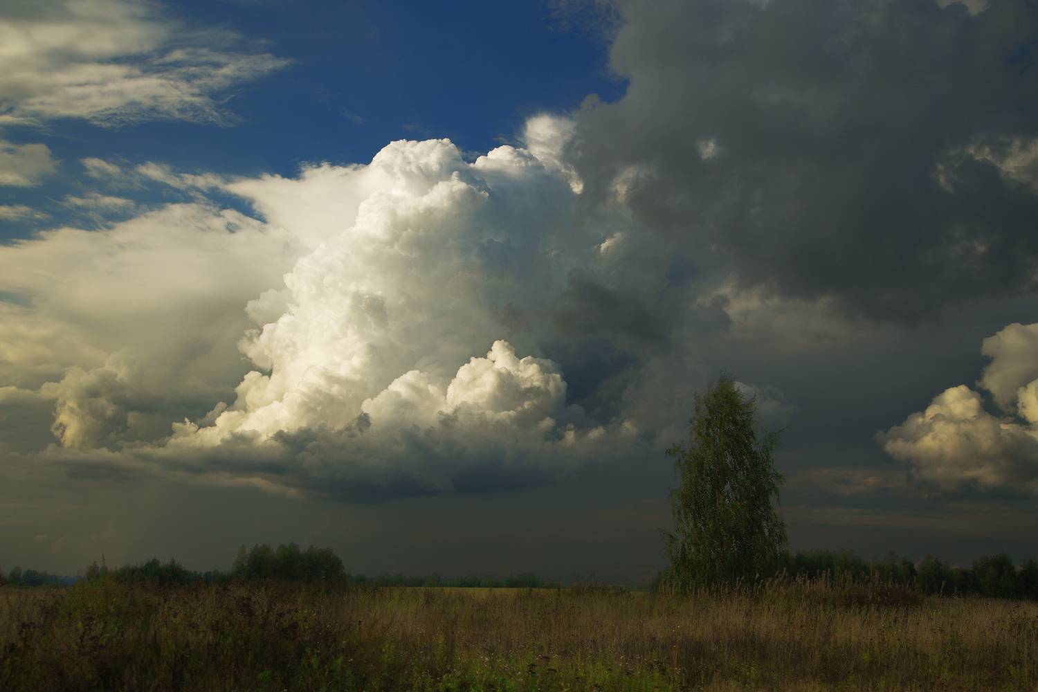 небо, лето, облака, тучи, Макаров Роман