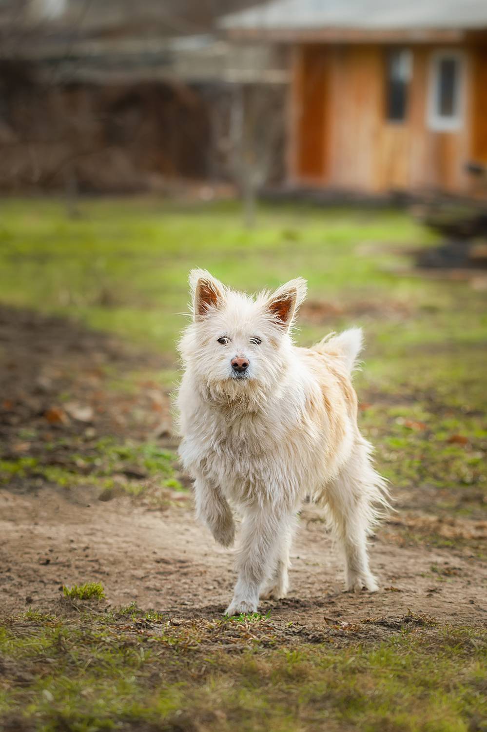 , Корнеев Алексей