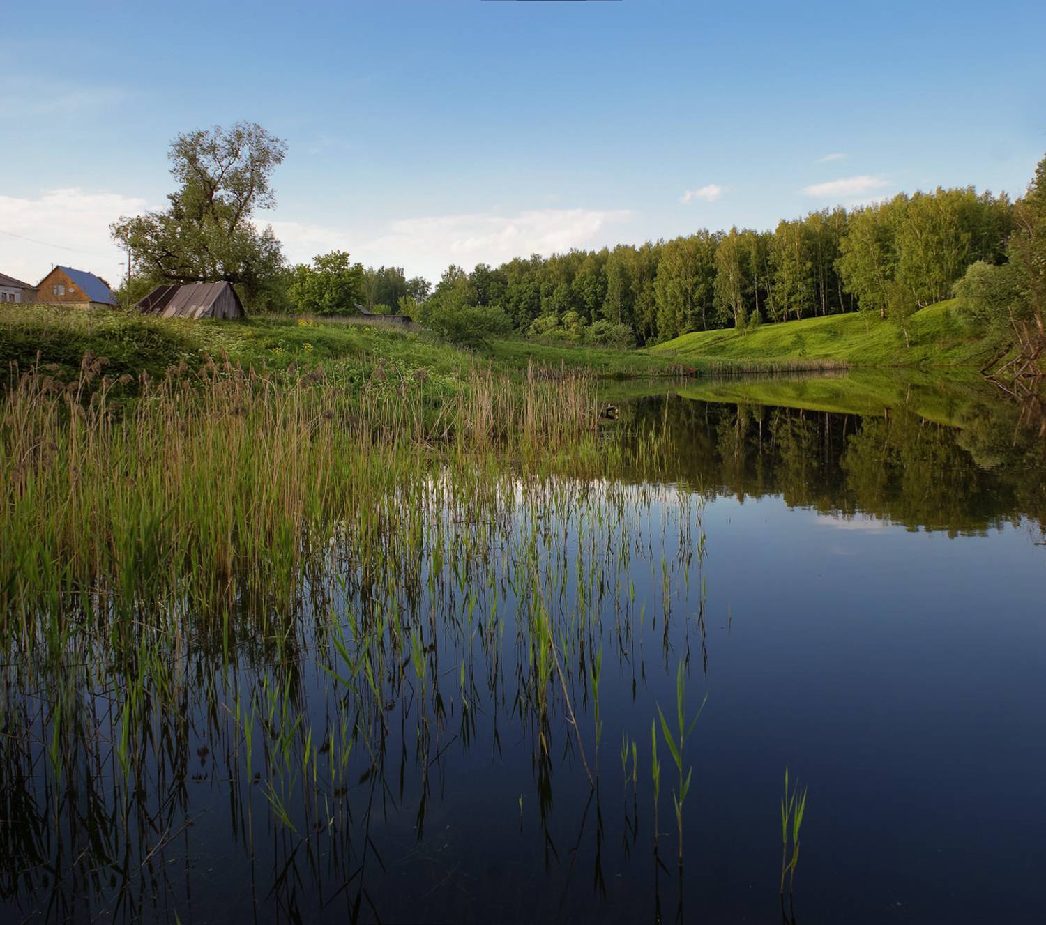 лето, пруд, вечер, тишина, Елена Колеснева