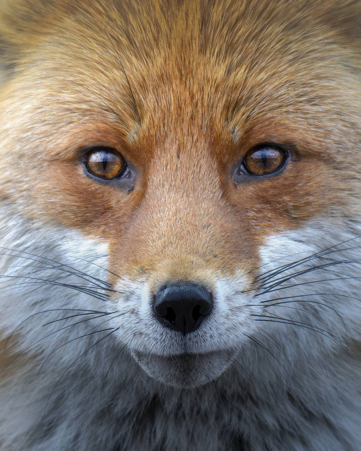 , Поляков Михаил