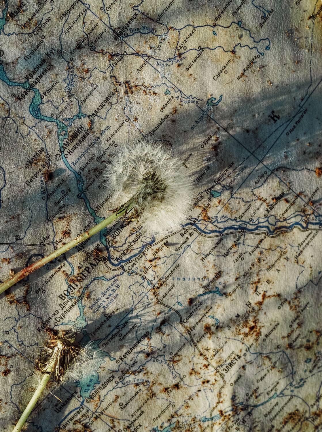 , Лофицкая Лариса